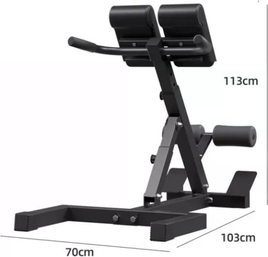 Fitness Chaise Romaine Hyperextension avec Extension: 5 - Inclination réglable au niveau, entraînements de dos/ab/glute, capacité 150kg Équipement de gymnase à domicile