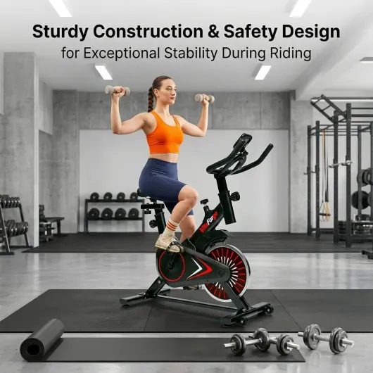 Exercise Bike, Quiet Indoor Exercise Fitness Bike,Stationary Bike for Home with Adjustable Magnetic Resistance and Height Adjustment (Black/Red)
