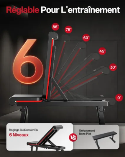 Banc Musculation Pliable, Banc Muscu Plat et Inclinable Multi-Niveaux avec 300KG de Capacité de Charge, Réglable Banc de Musculation pour Salle de Sport à Domicile Double Cadre - PB300
